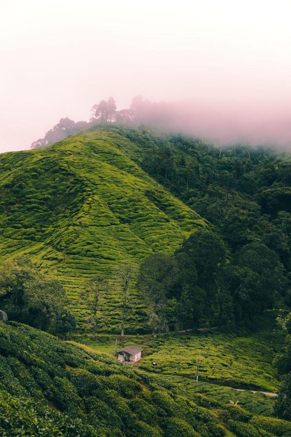 Heritage Hotel Cameron Highlands Exterior photo